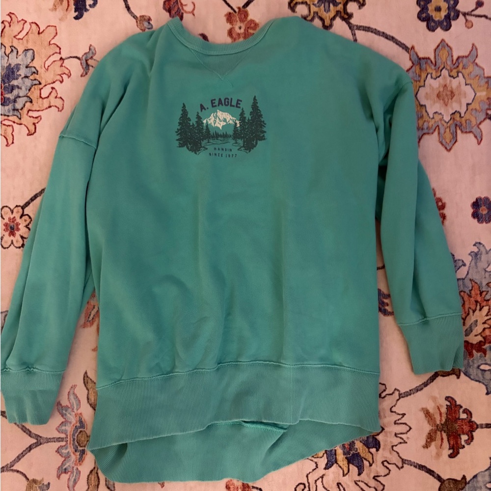 American Eagle Outfitters Green Sweatshirt